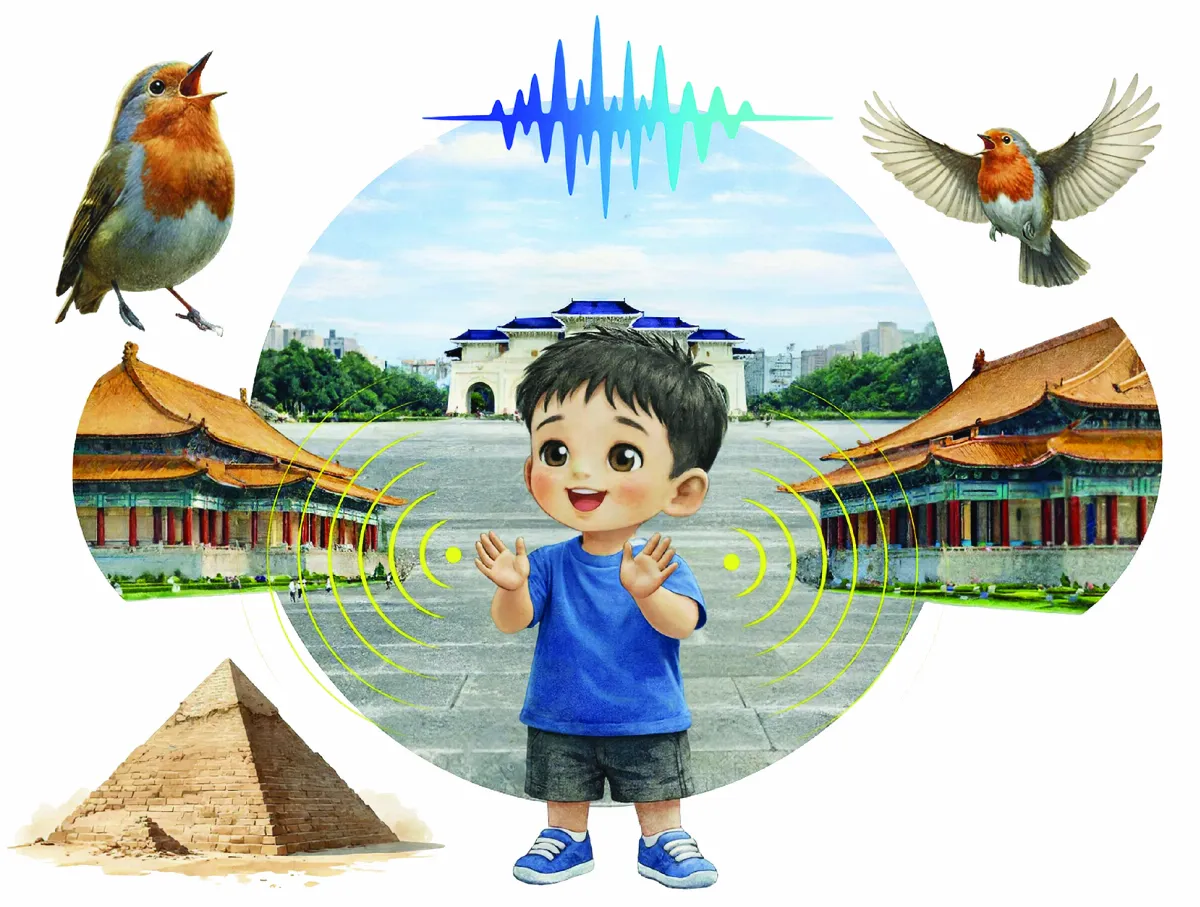 拍手後 回響鳥鳴聲？