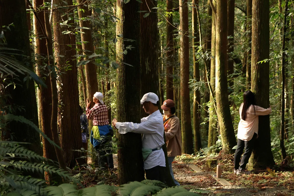 以森林為師找尋生命力量 林保署邀民眾與大自然共學