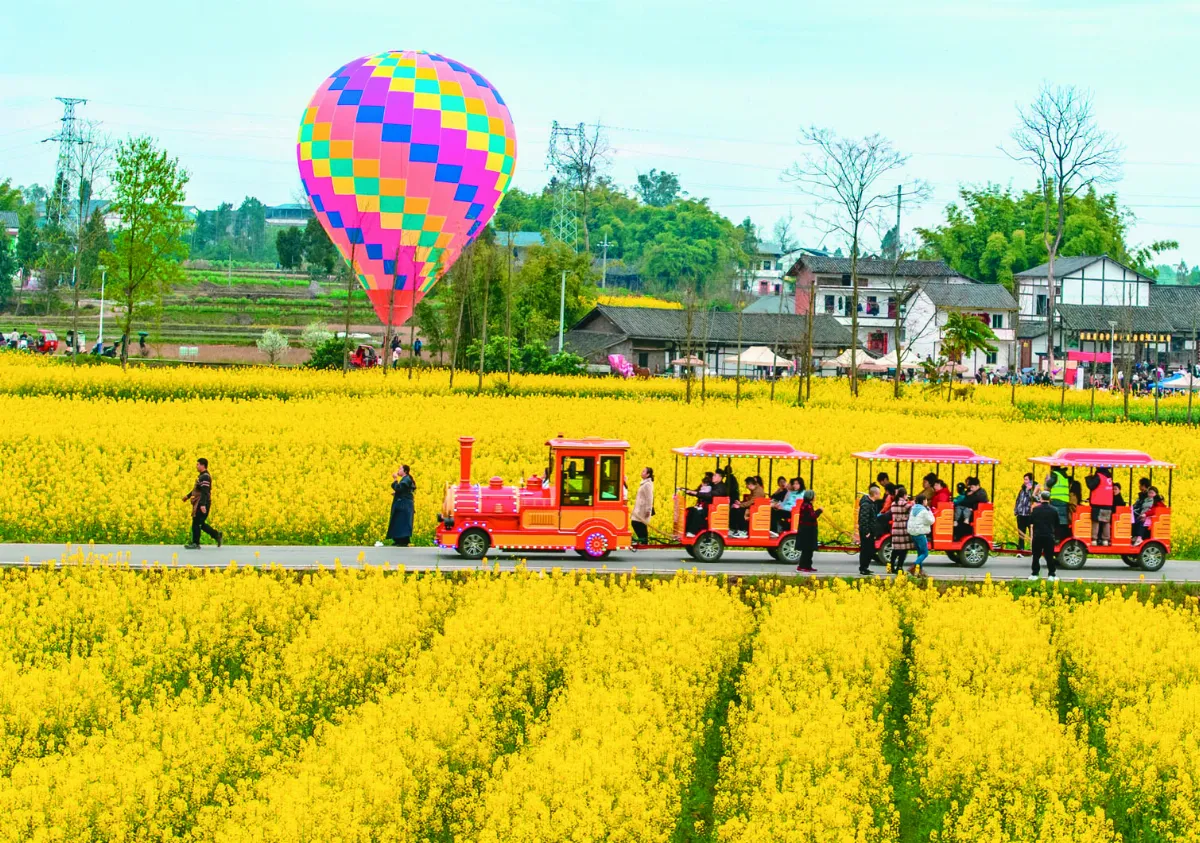 四川廣安 油菜花海迎春