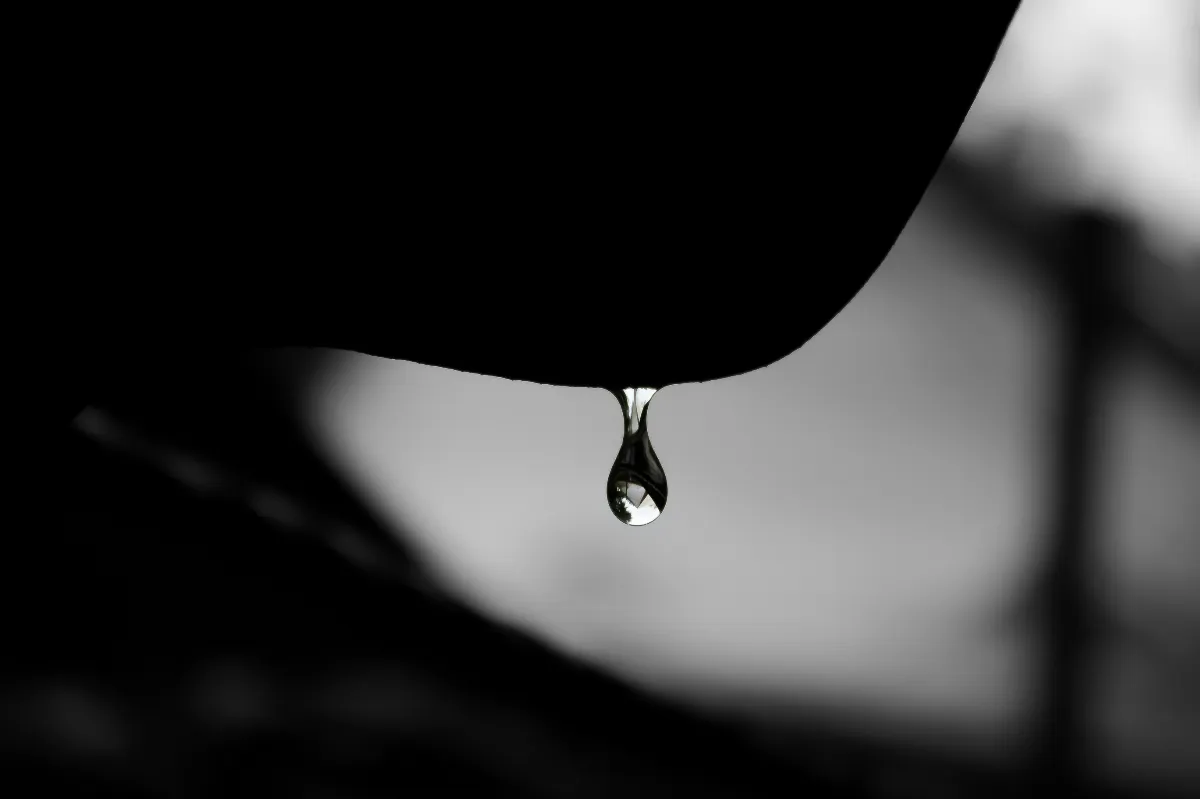淚水中的領悟