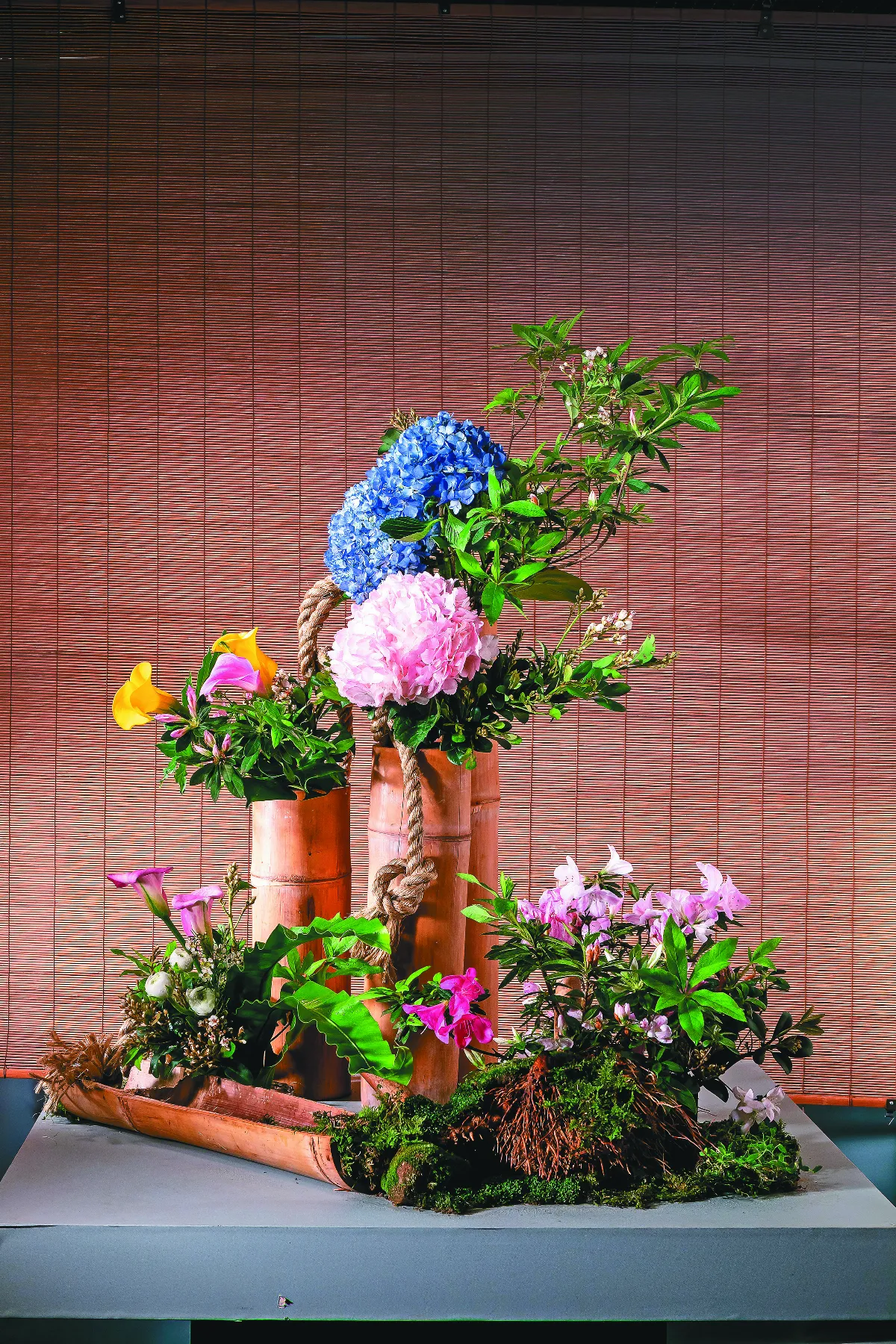 【節氣花語】不是春風巧 何緣見歲華