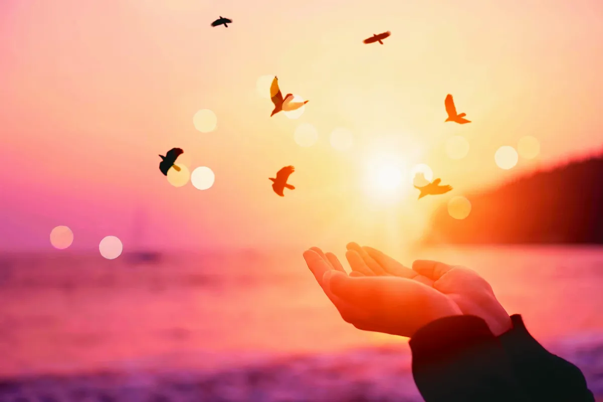 【幸福心理會客室】成為自己生命的貴人