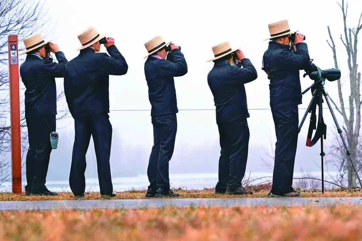 北美雪雁遷徙群飛 壯闊如龍捲風