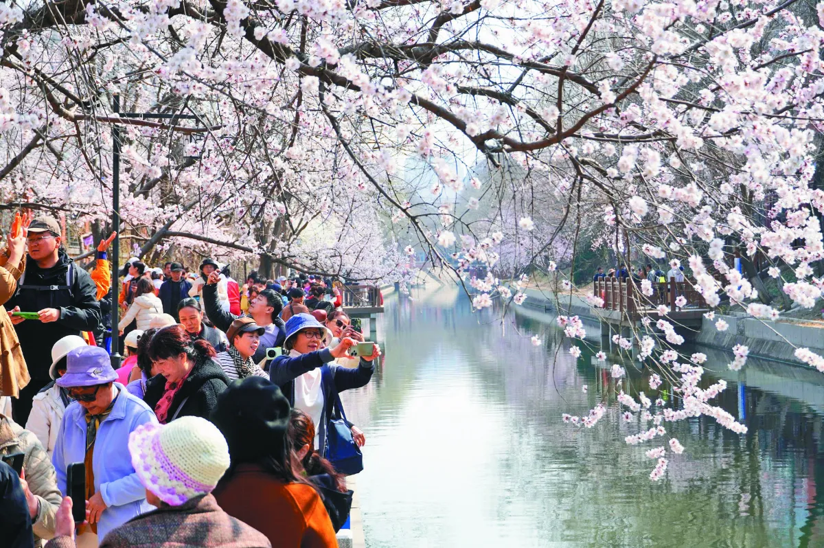 北京山桃花廊 綿延2公里