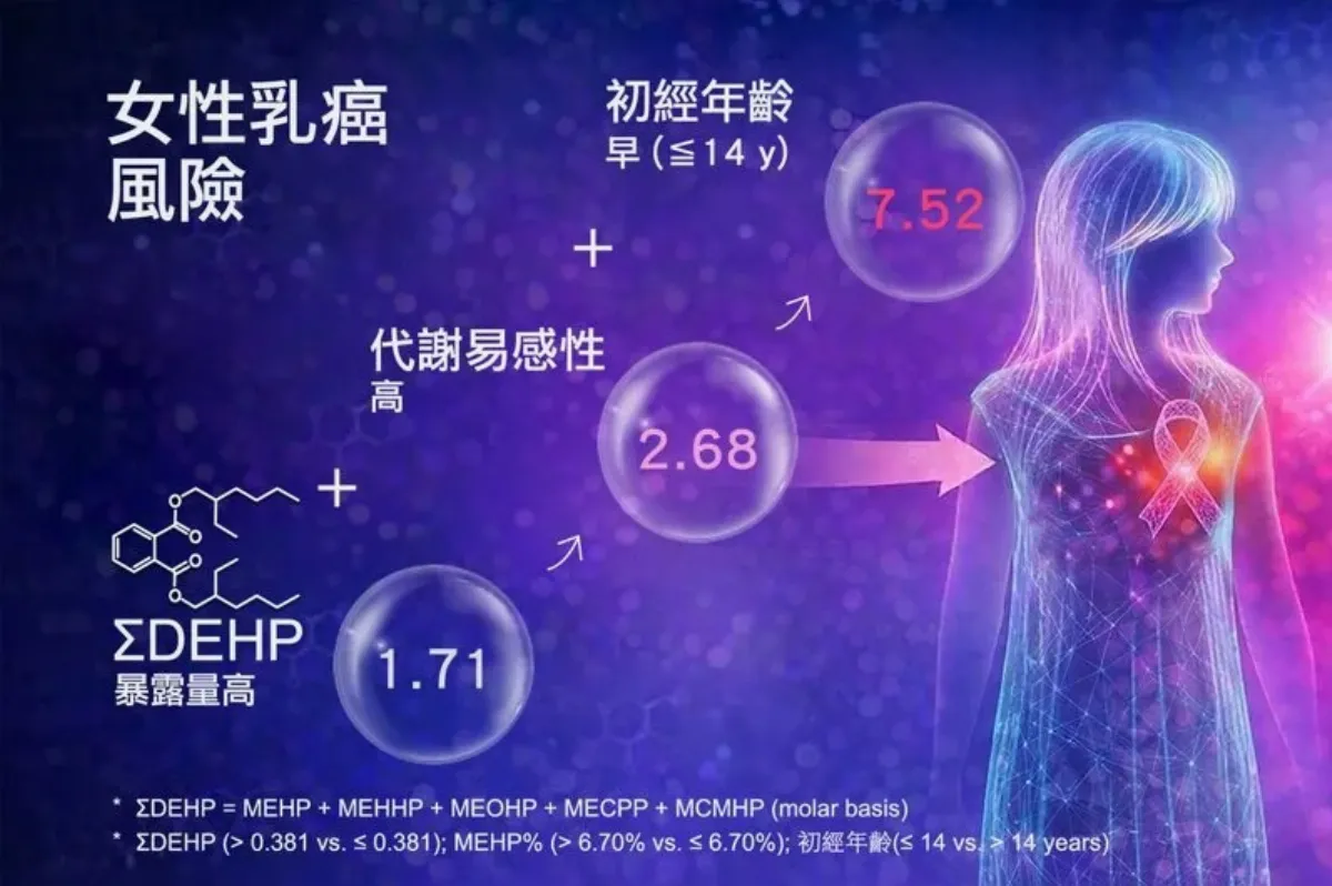 女性乳癌年輕化 追蹤20年發現三因素讓風險飆7倍