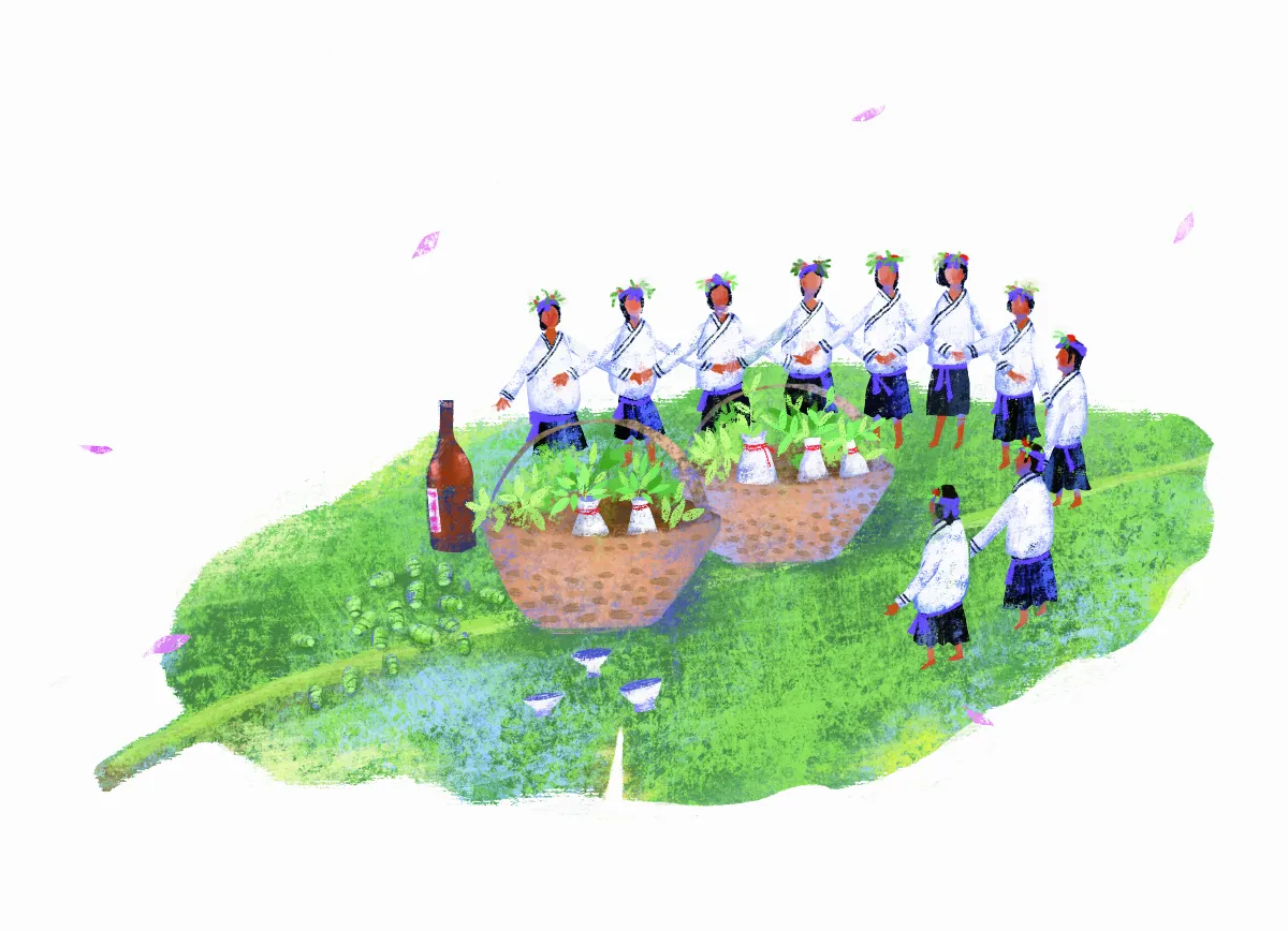 【原民說故事】渡海而來的海祖（下）