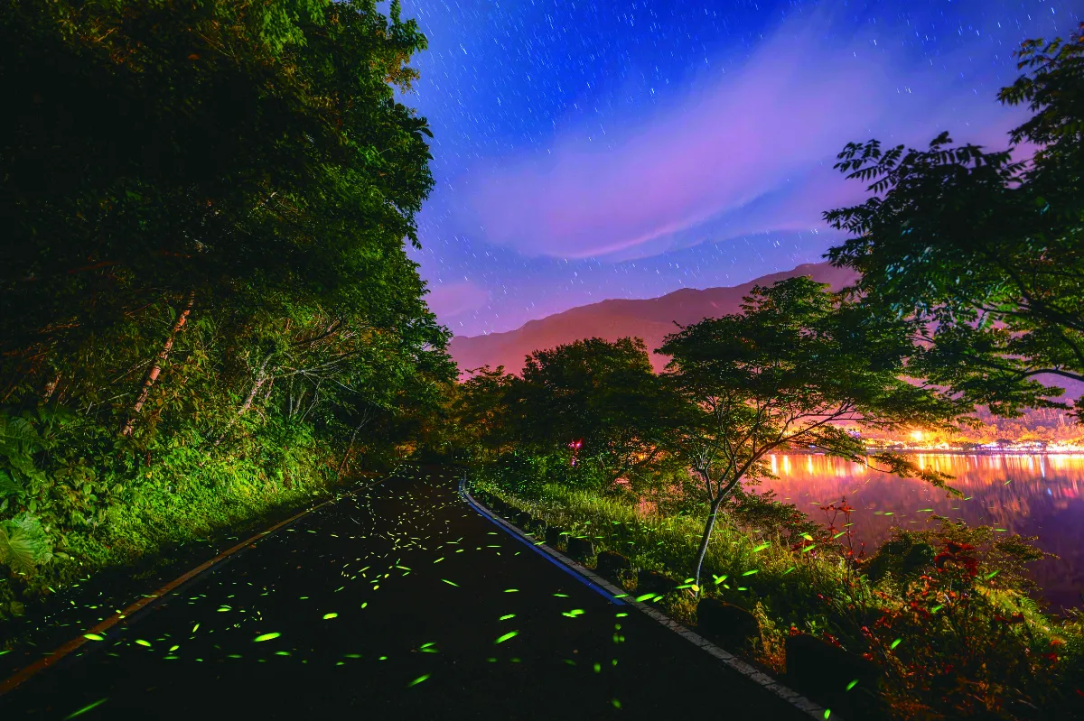 春遊花蓮 欣賞螢河美景