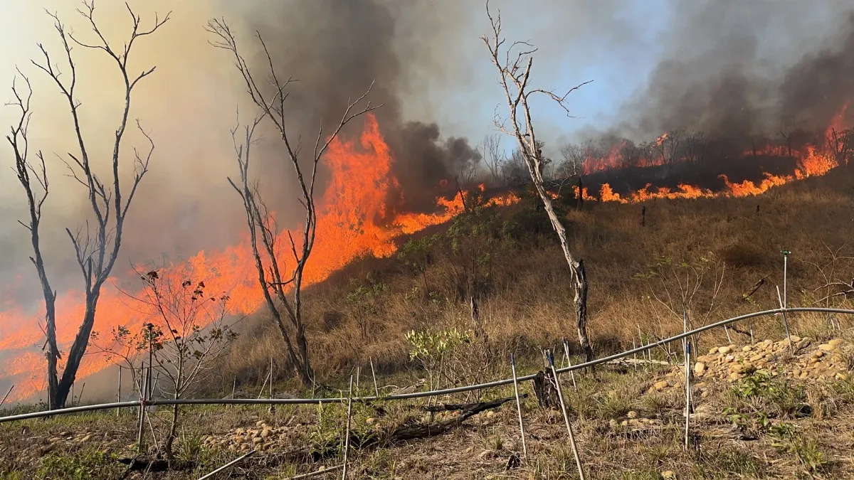 中南部林火警戒期  違規用火最高罰60萬