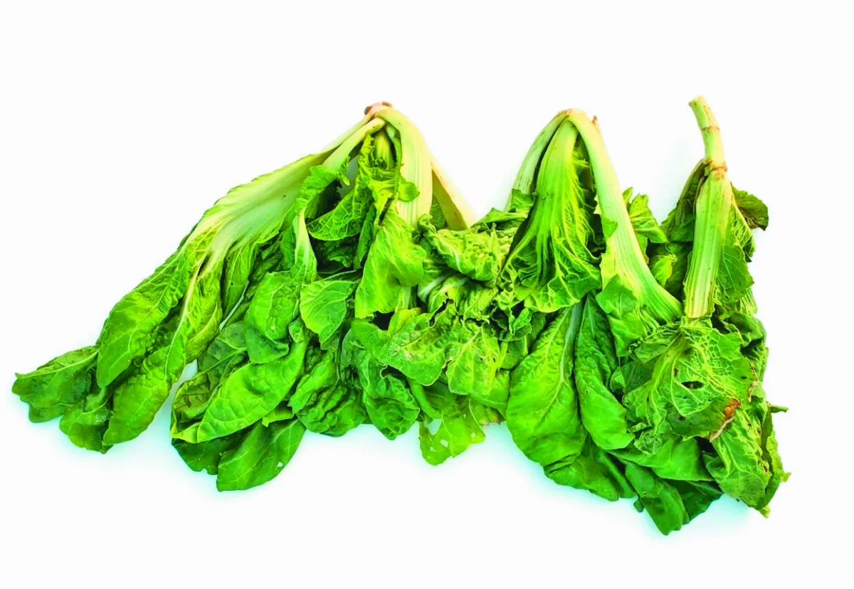 【植感滋味】自醃芥菜 酸甘鹹香