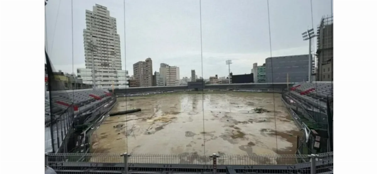 中職／蒐集球迷體驗改造天母 龍對新竹球場未全放棄