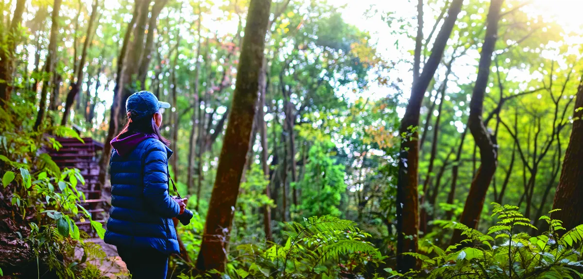 【另有收穫】聚落踏察烏龍記