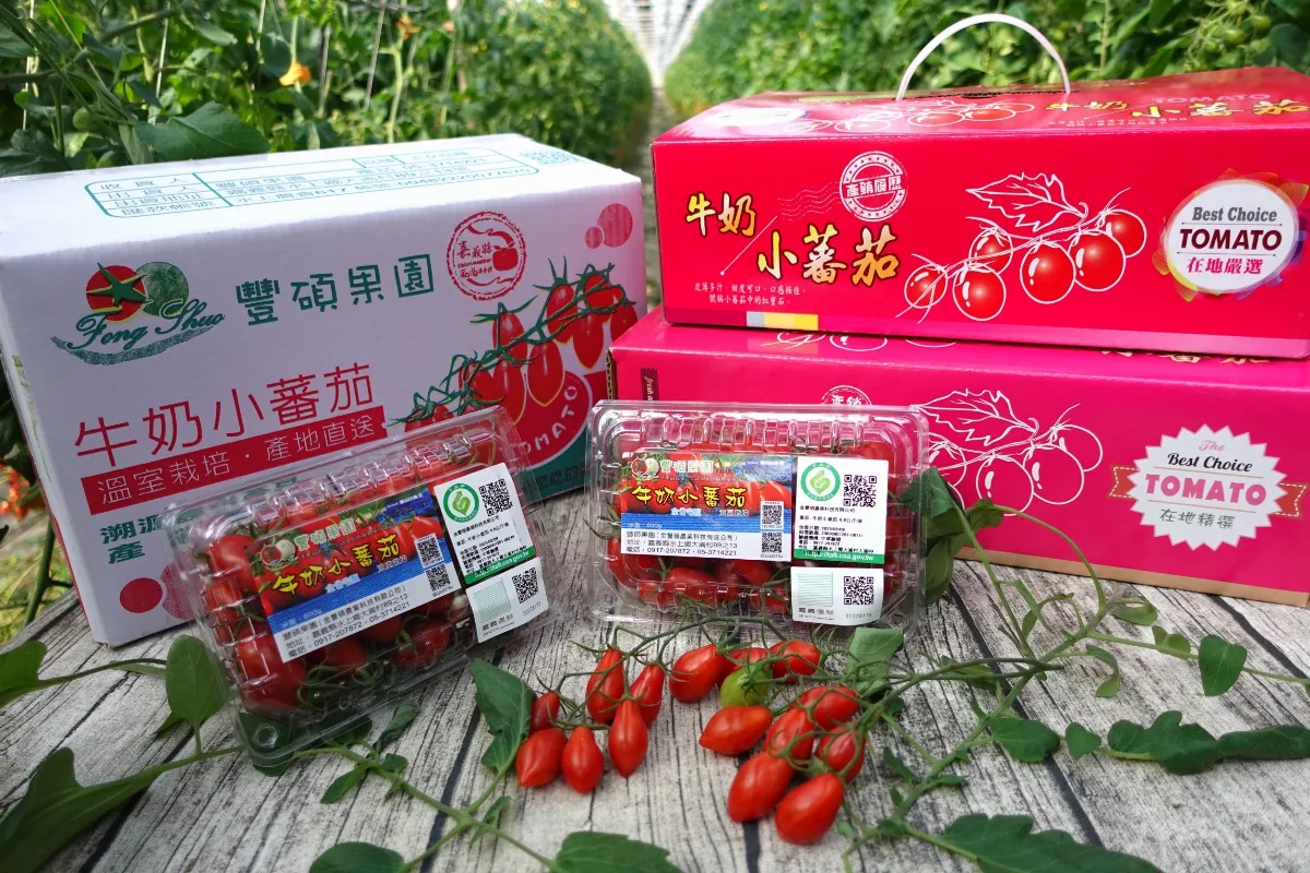 美伊衝突影響 小番茄塑膠盒暴漲63%