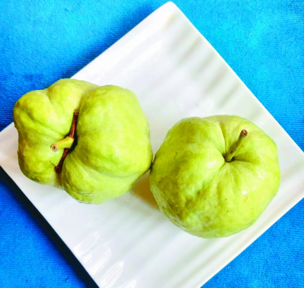 【果香書寫】水晶芭樂好滋味