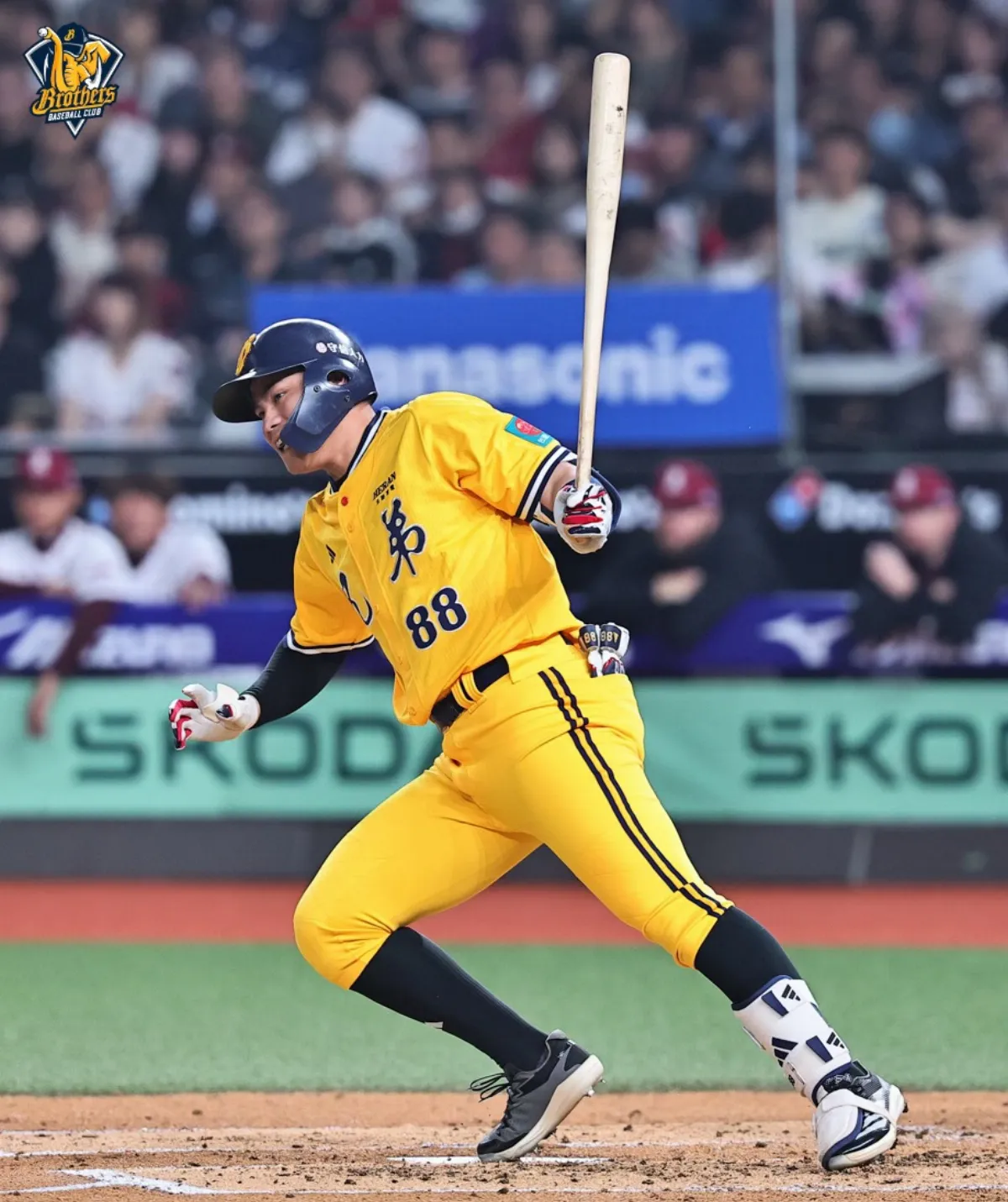 中職／宋晟睿續扛中心棒次 平野想讓年輕球員磨練