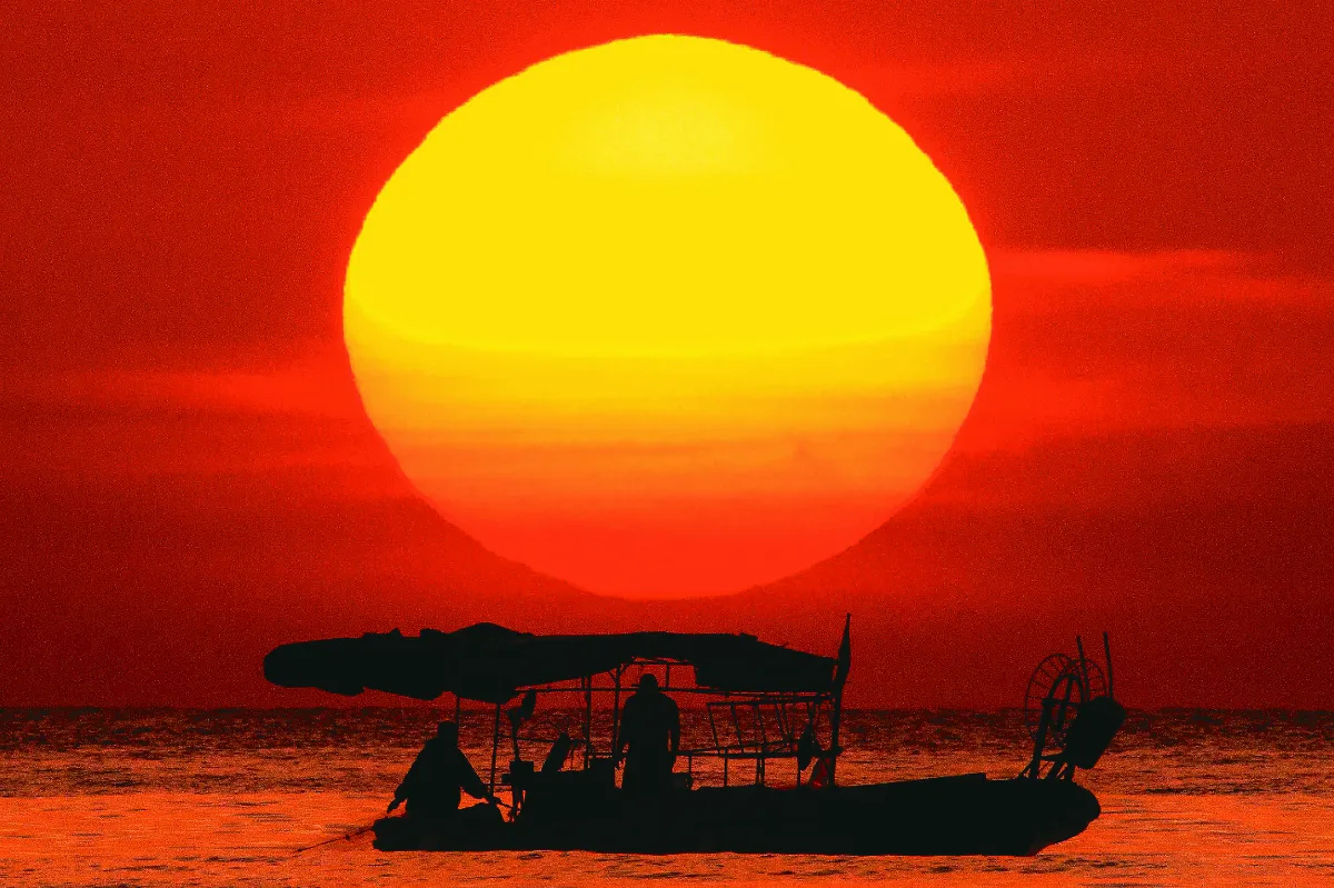 地中海暖化 引來紅海物種棲息