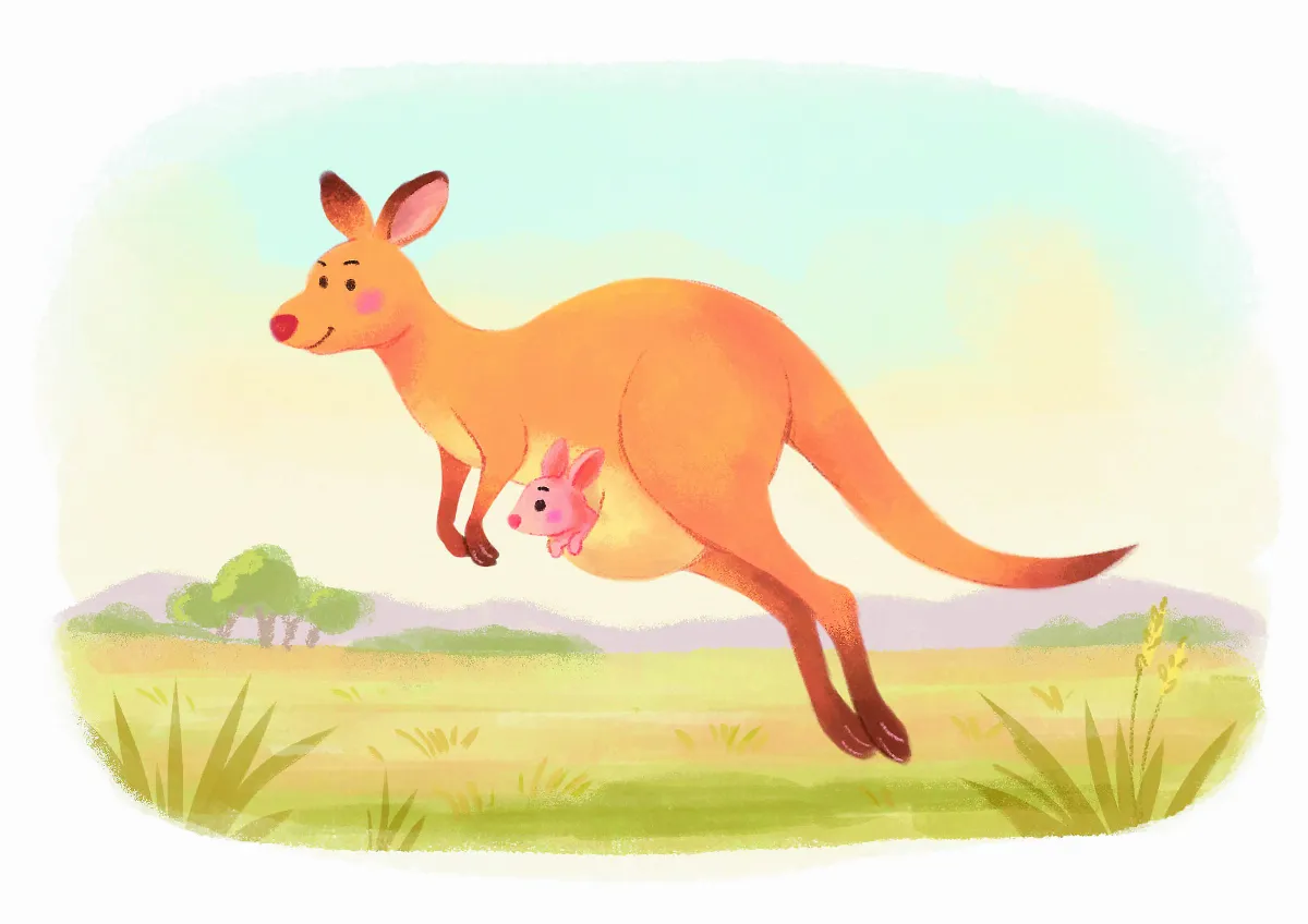 【趣味動物園】神奇的袋鼠世界