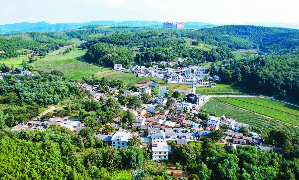 【文創之旅】 土瓜冲旅居熱
