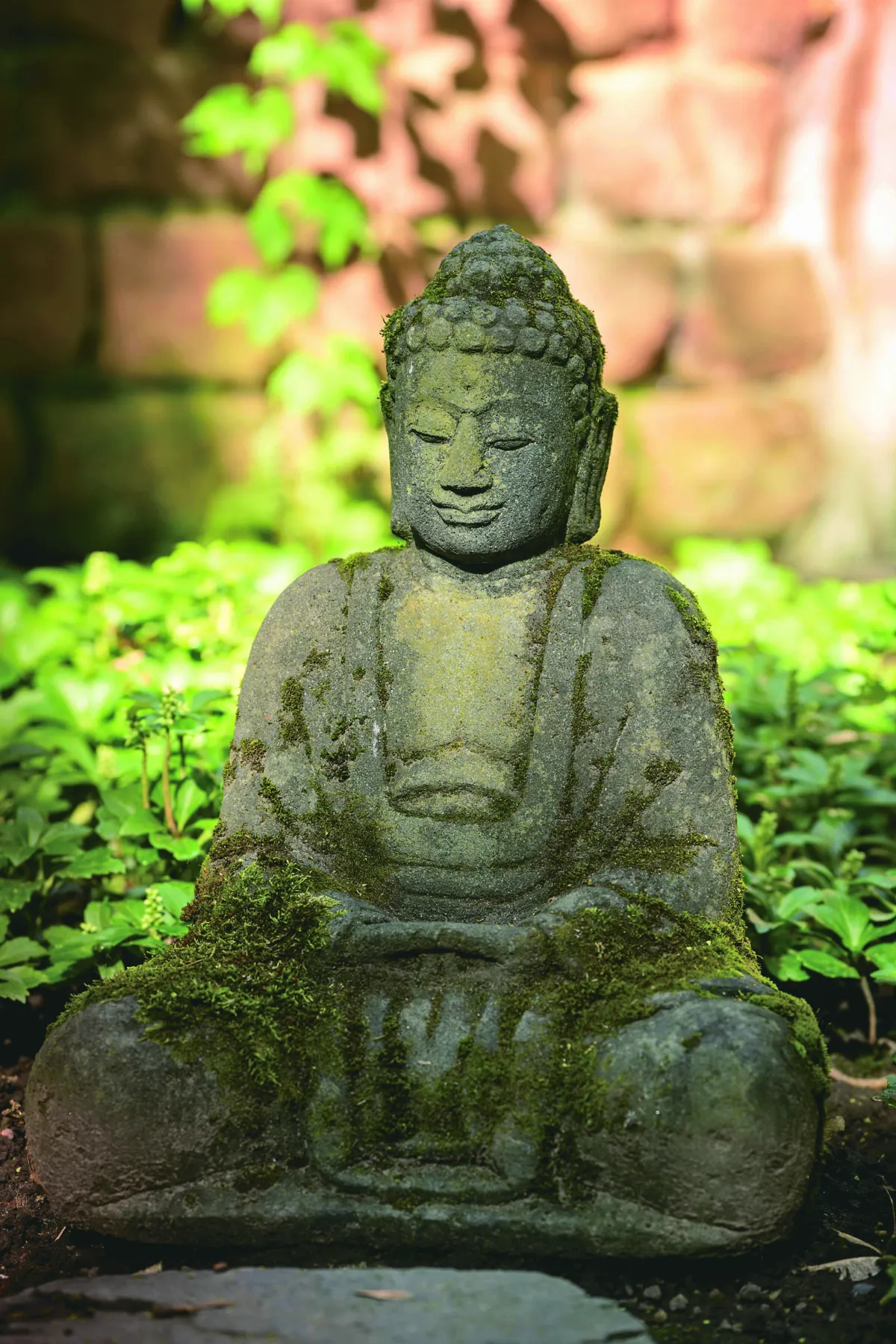 【自性覺醒生活24堂課】正念減壓 與 禪修 中的「止」 如何找回混亂生活的主控權