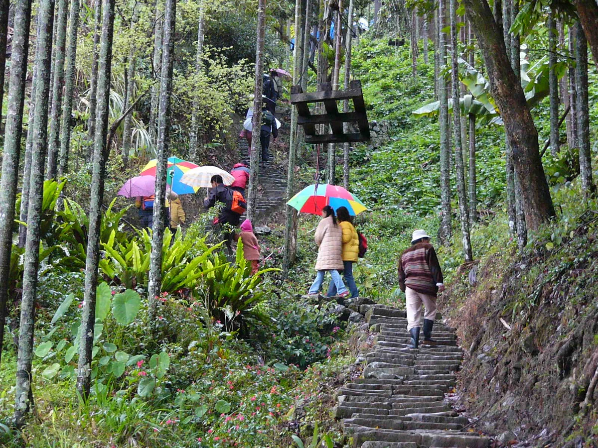 【創作花園】爬山歡樂行