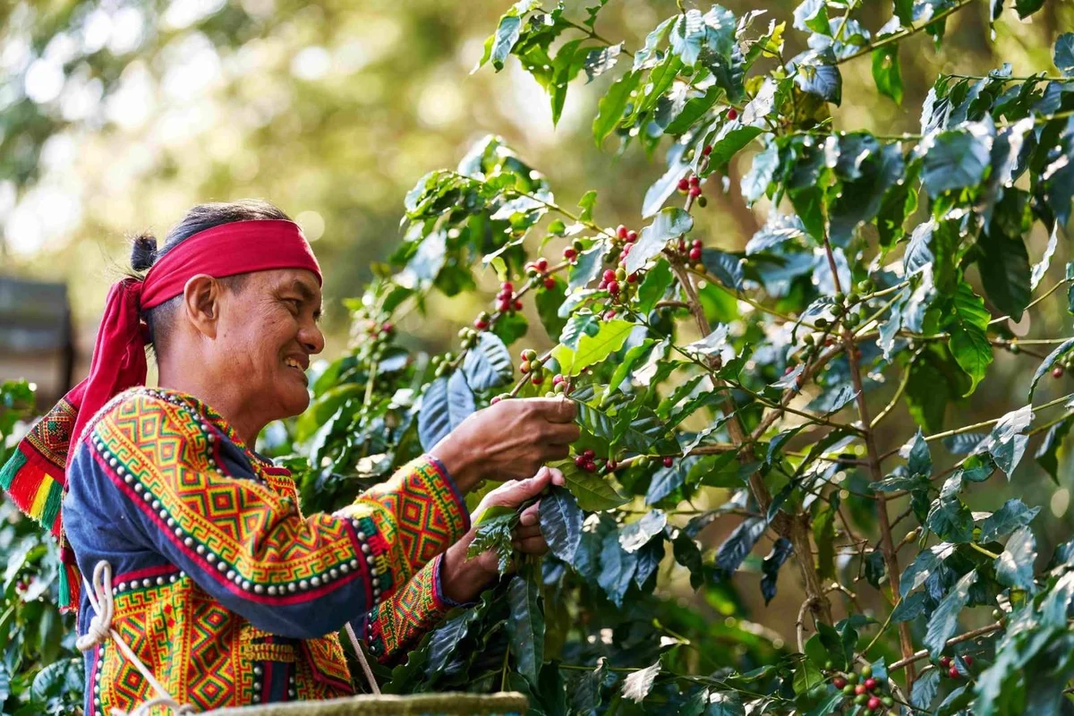 部落美味為引 茂林推魯凱「食而識山」舌尖之旅