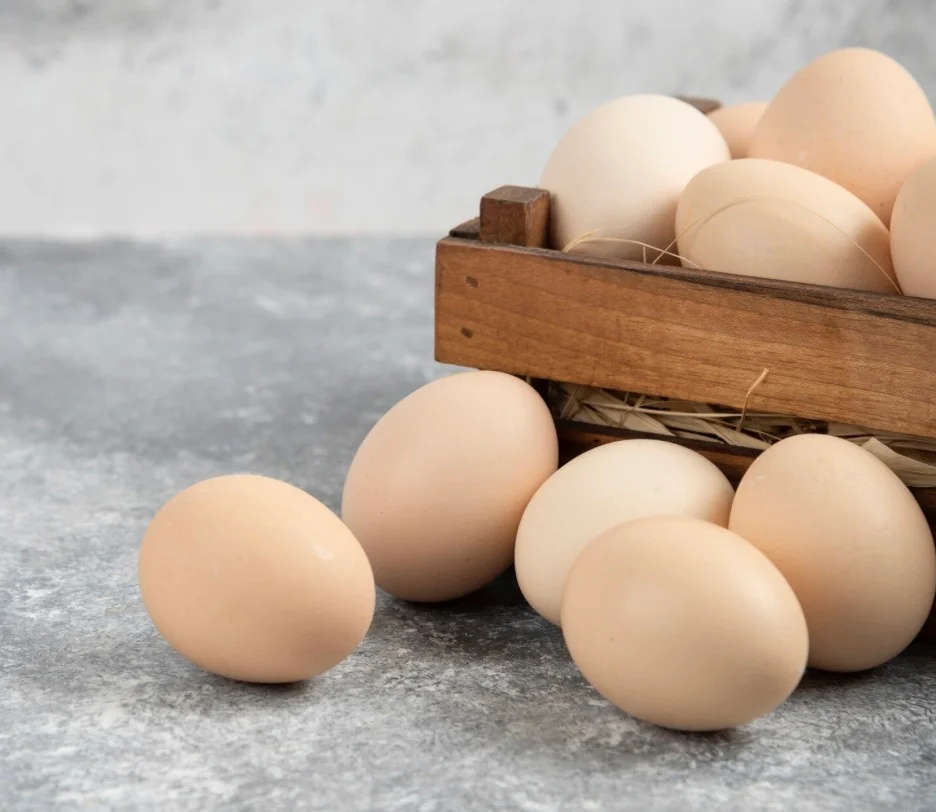 熟食很重要 醫揭沙門氏菌感染源並籲煮食前洗手