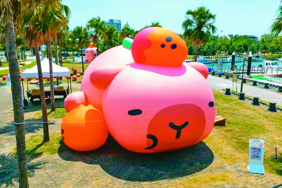 螢光花泉季 卡比胖拉超療癒