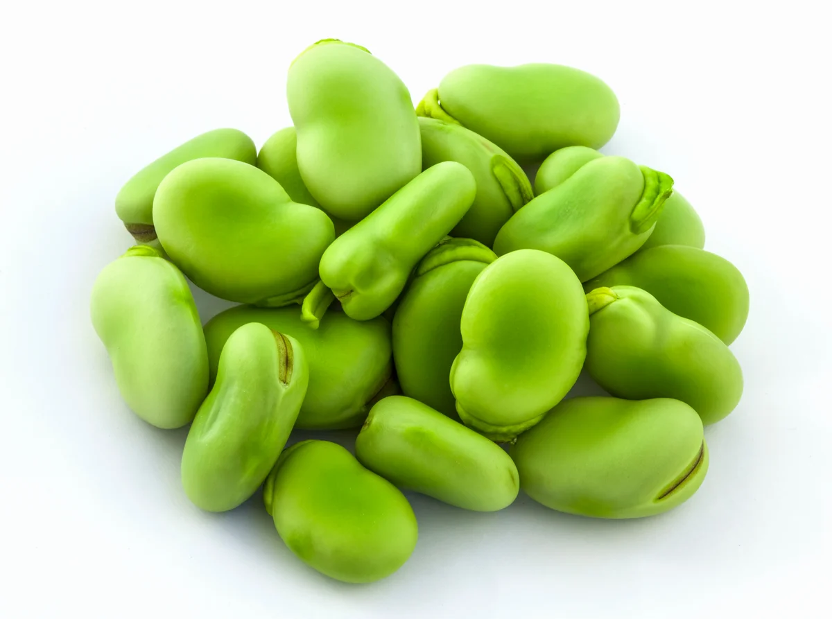 【食說新語】美哉蠶豆食趣多