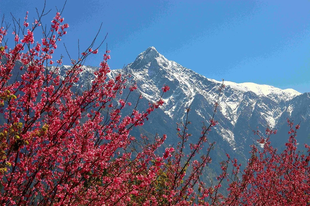 全民捕捉聖山之美 玉管處徵集「看見玉山」影像　