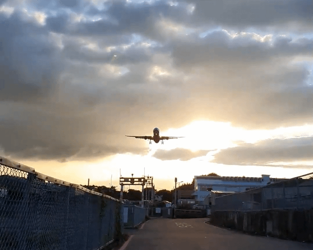 中東紛擾亂油價  5月航空公司減班持續到8月