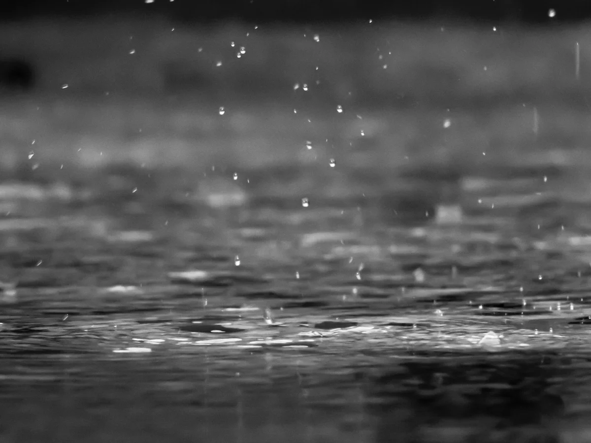 【小小詩人】雨天捉迷藏