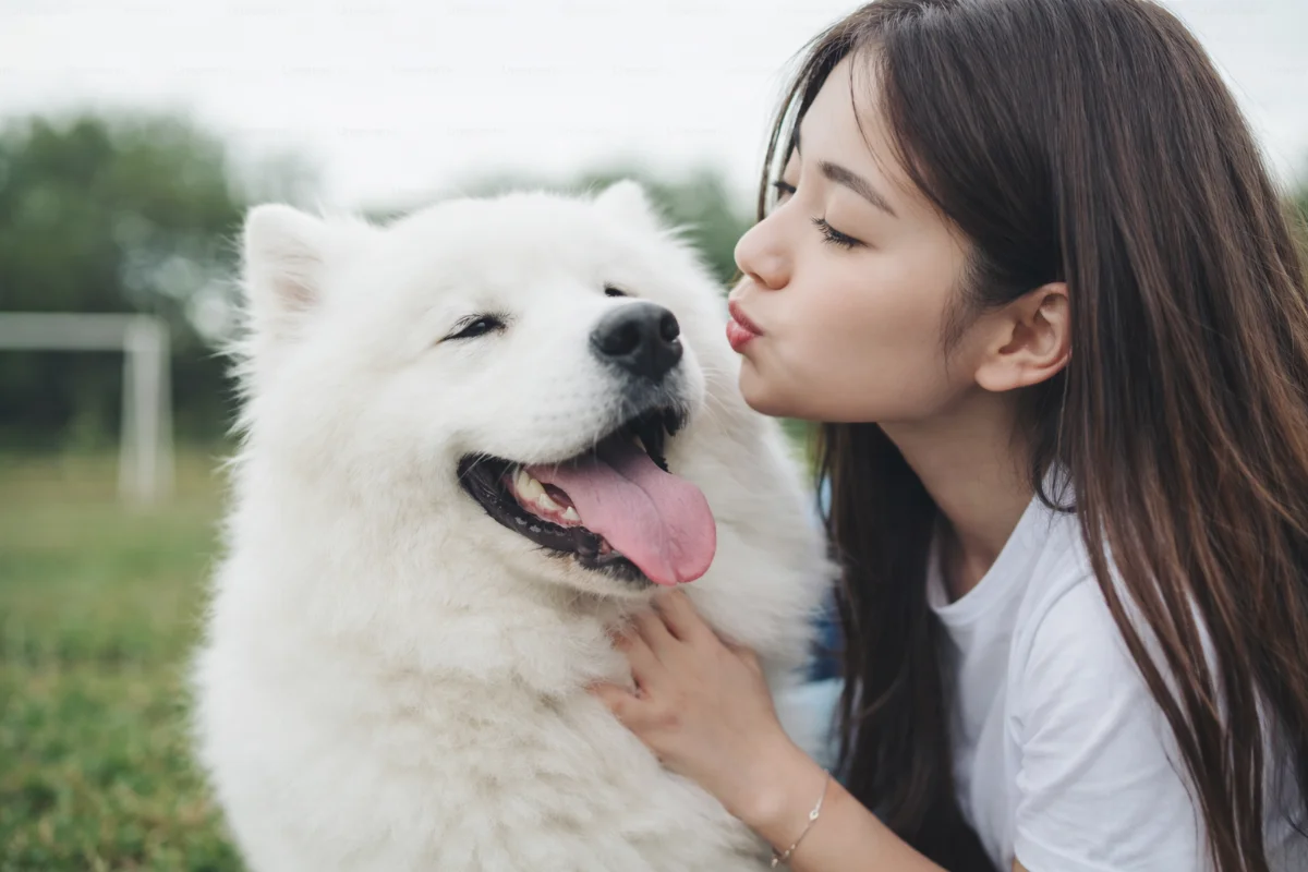 特殊「狗」工作 夢幻職缺掀網路熱議