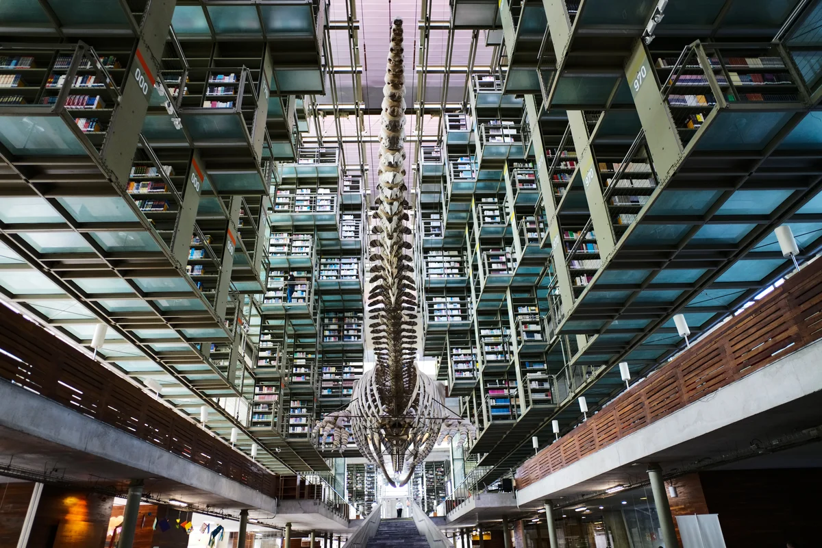 全球特色圖書館盤點 展現知識空間多元樣貌