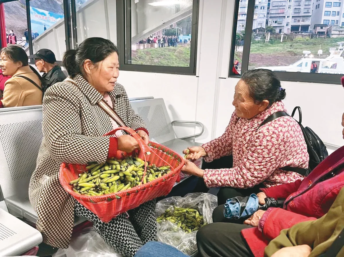 載菜載溫情 背簍輪渡啟新航