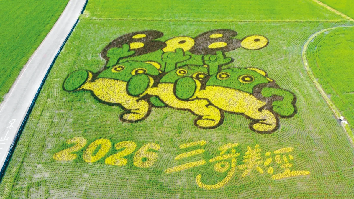 三奇美徑彩稻 Q版波波草可愛吸睛