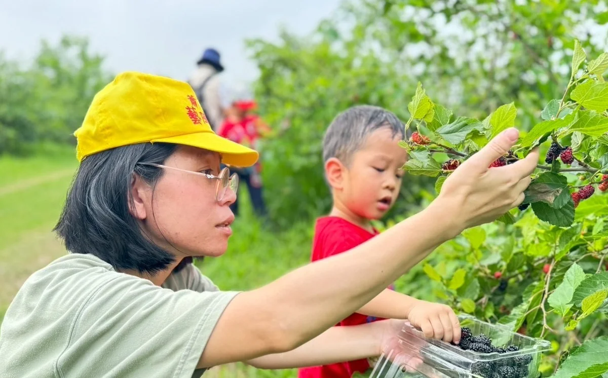 有機農業示範基地 柳營蔬果節展現永續理念