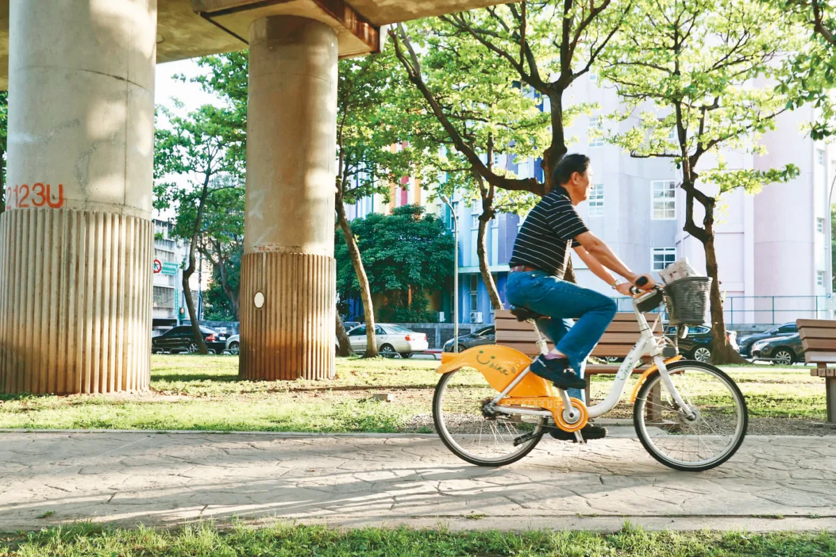 都市林10年計畫 打造樹蔭通勤廊道