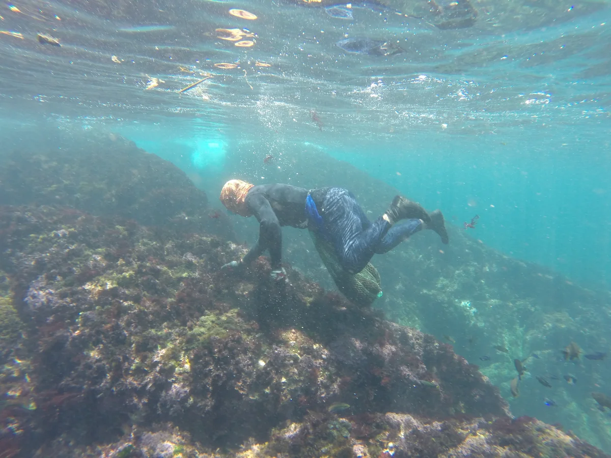 【歷史趣聞】潮間帶的台灣海女