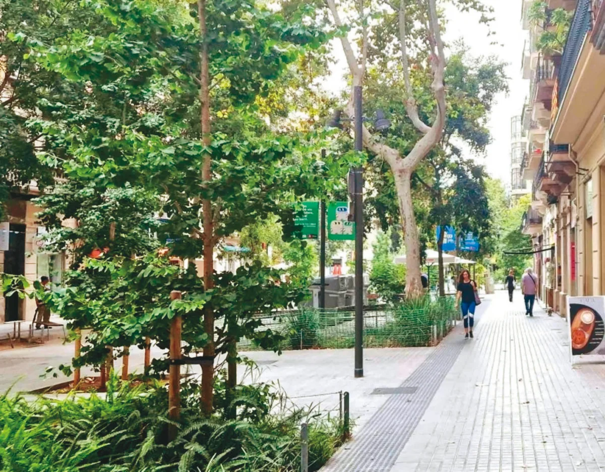 上學路變綠廊 護孩童永續環境