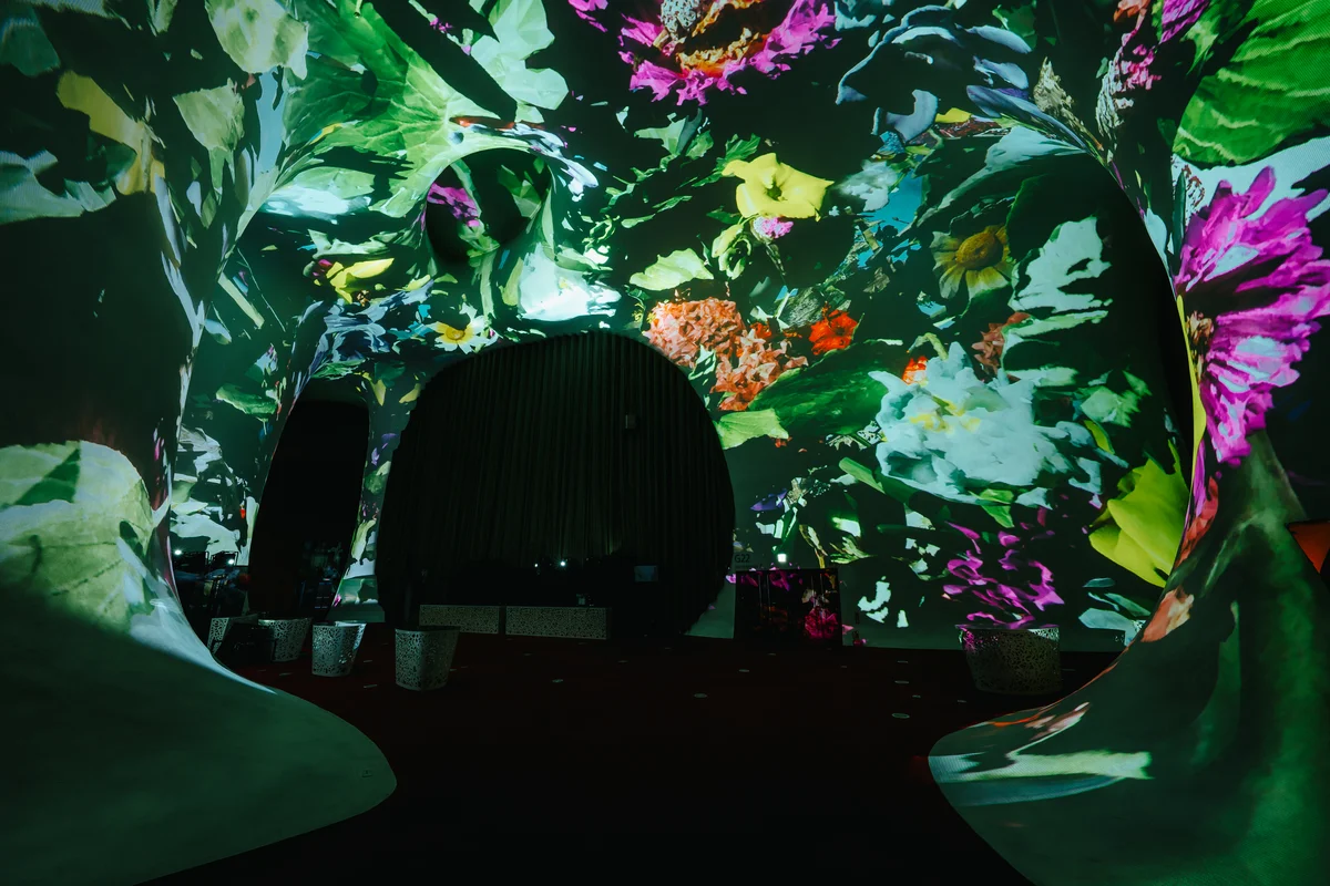 光之曲幕倒數 藝術青年創作計畫探索自然共生