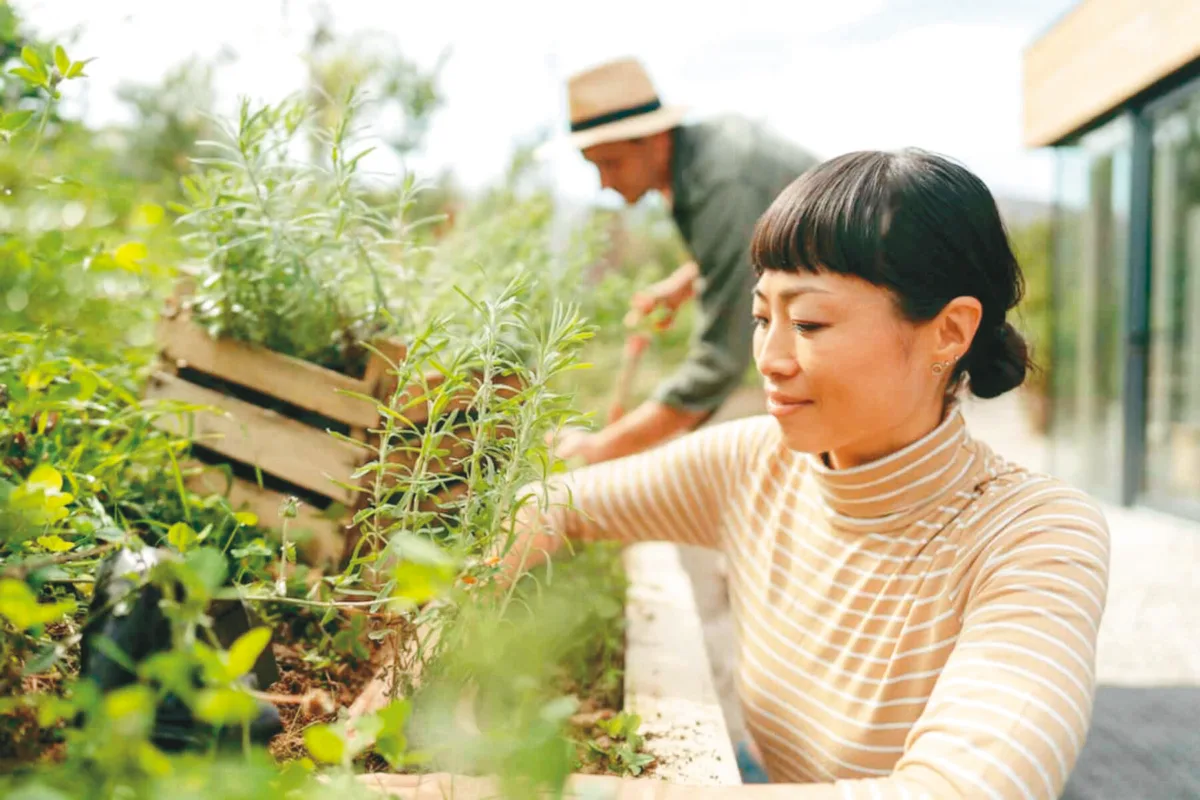 屋頂花園降低洪災 打造永續城市