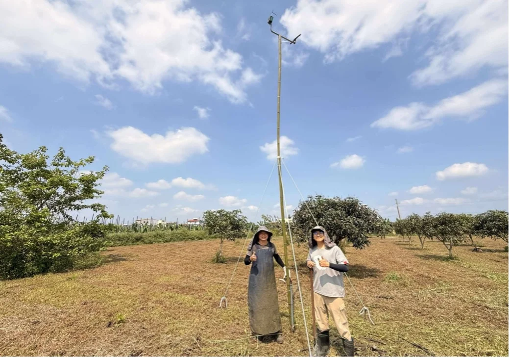 友善農地守護草鴞 「生態薪水」保育與農業共生