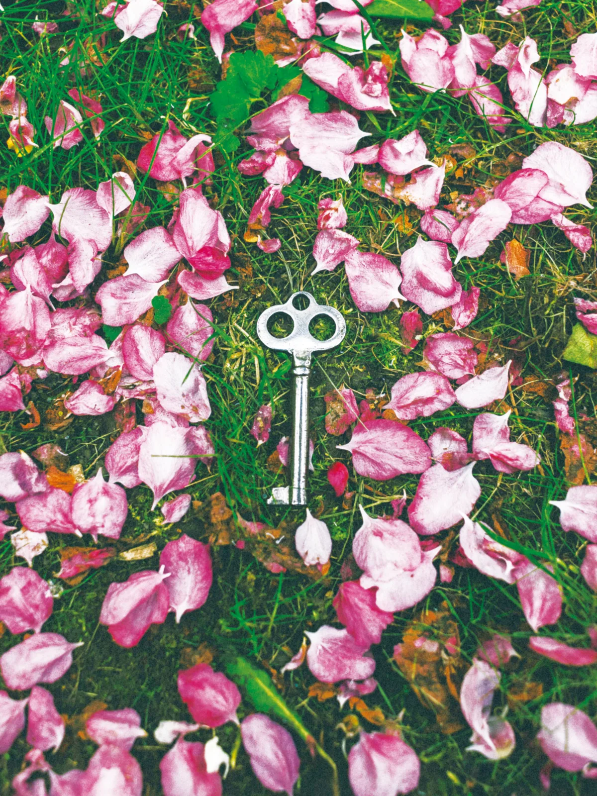 星雲大師全集㉑【佛教管理學③】警察篇—做人要能通過警察關卡⑤