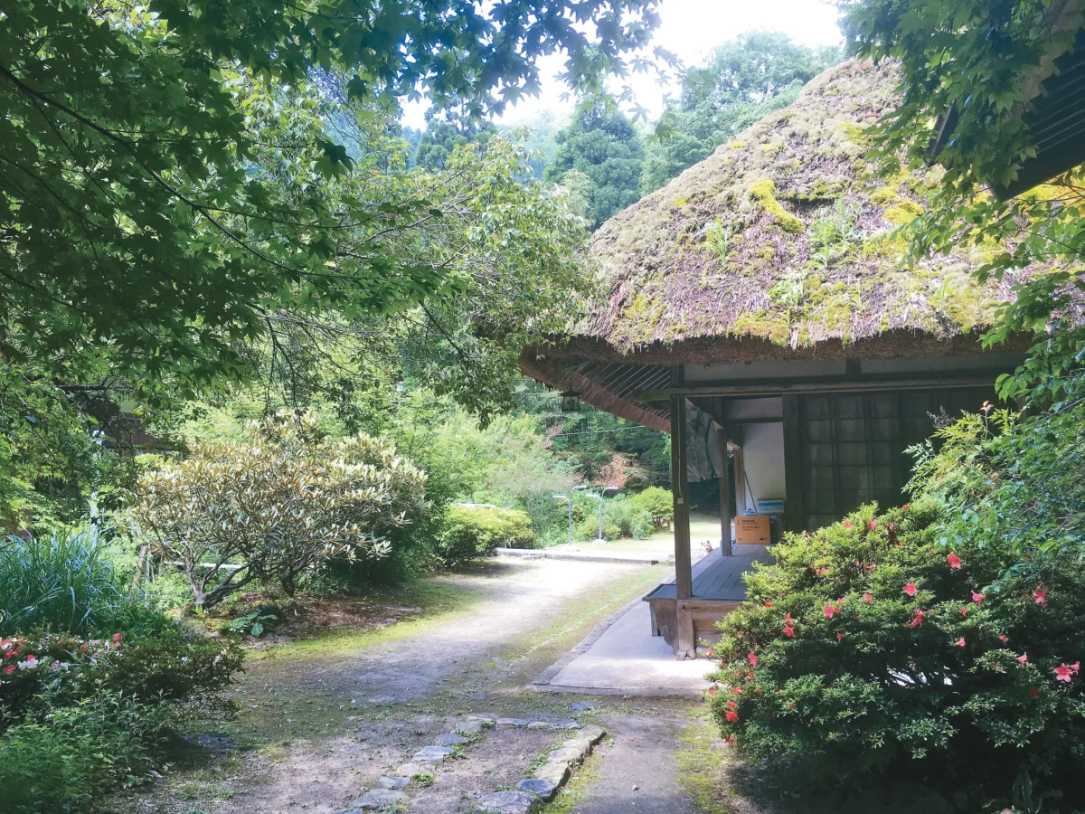 【溫泉之旅】無論幾歲，都想保留這種衝動