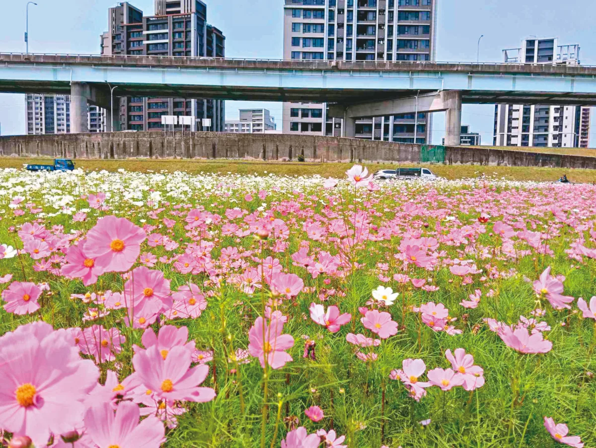 大都會公園 繁花繽紛交織