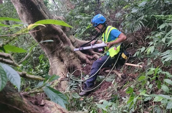 百年林鐵再出發 產官學共築文化保存與地方創生