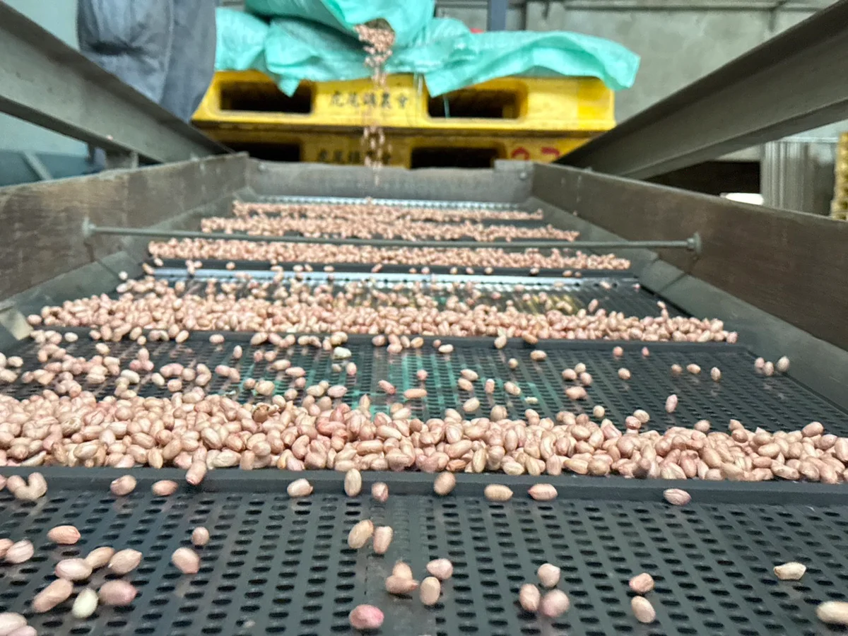 美國花生零關稅 陳駿季：將以標章與碳足跡呈現台灣品牌