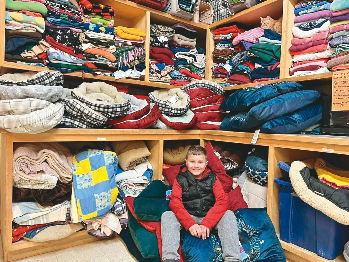 男童花光零用錢 寵物床捐收容所