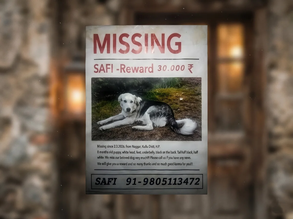 8個月愛犬走失  德國奶奶跨百公里找尋